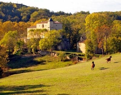 Chateau Le Quille France