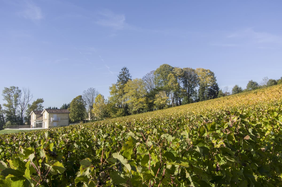 Chateau Picoron Pavillon  France