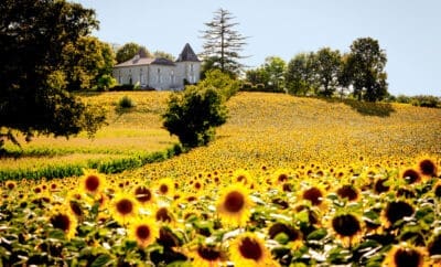 Chateau Segalas France