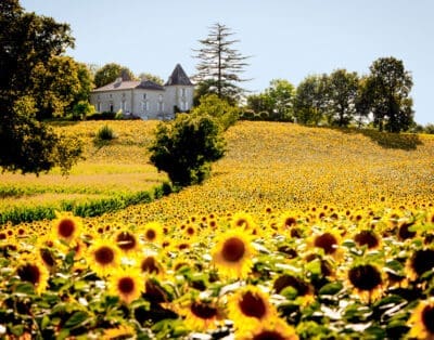 Chateau Segalas France