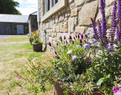 Chatton Cottage United Kingdom