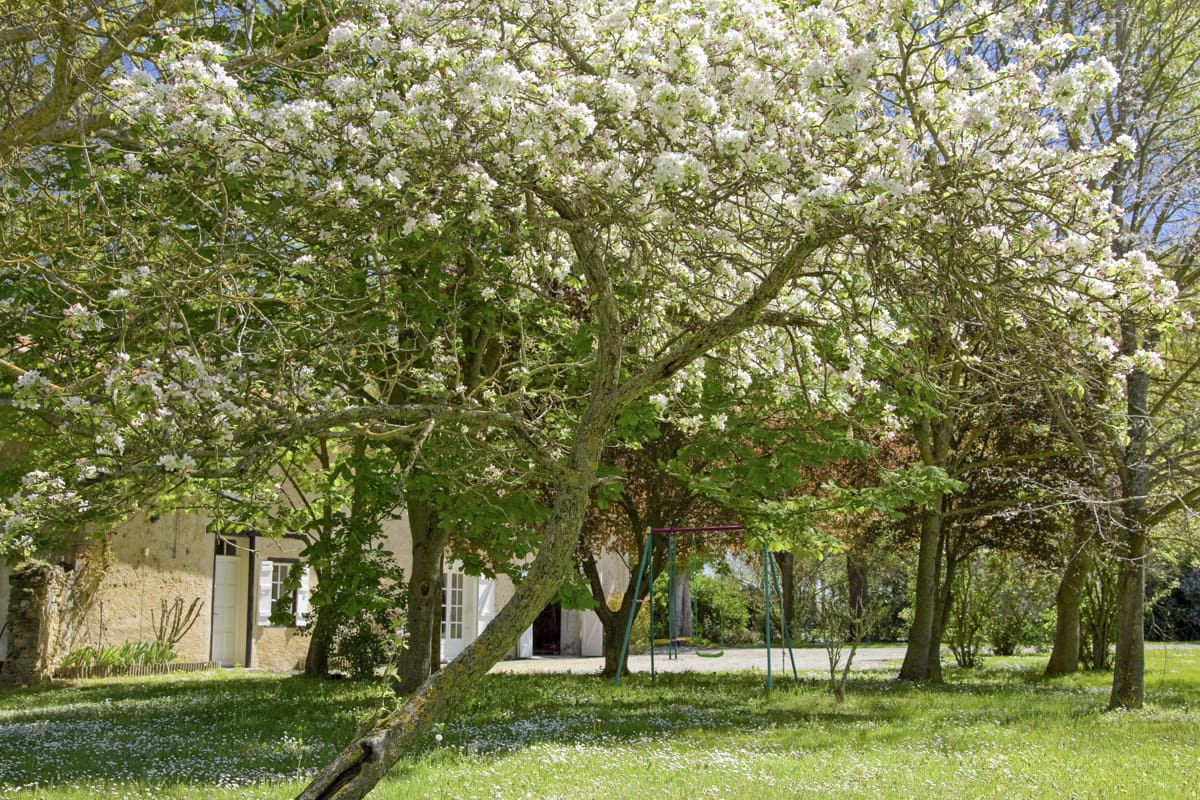 Cottage Des Cathares France