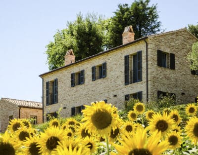 I Girasoli Italy