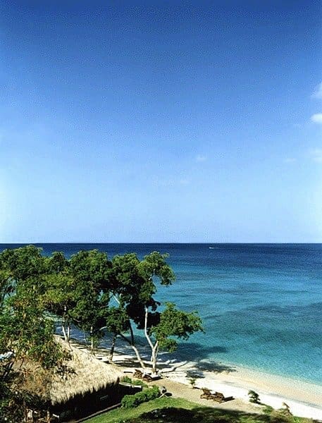 La Luna – Cottage Deluxe Grenada
