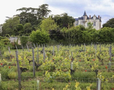 La Maison Du Vigneron France