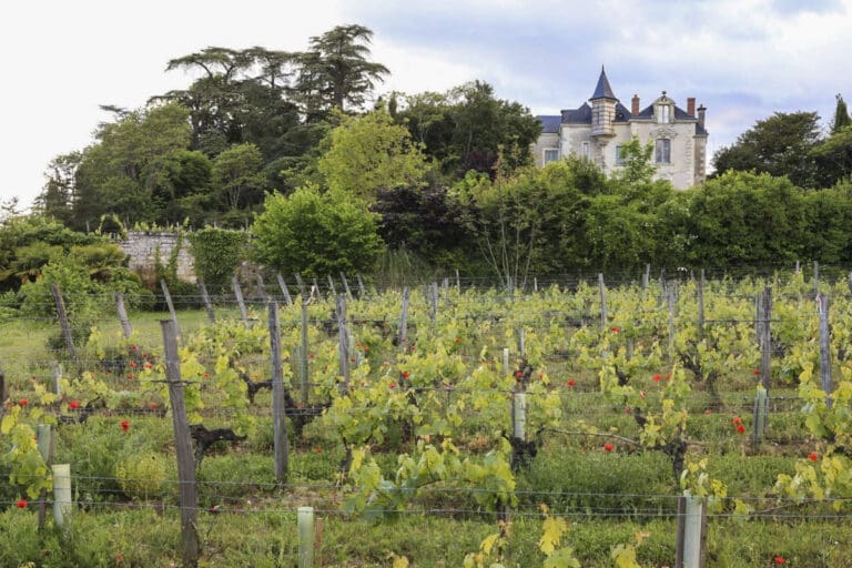 La Maison Du Vigneron France