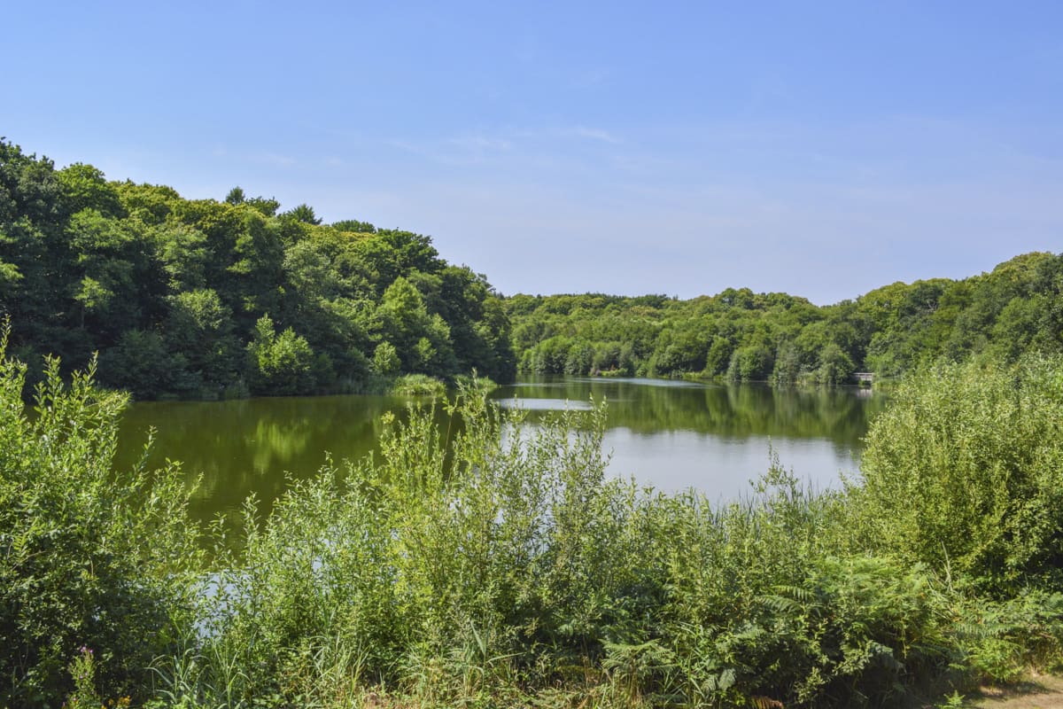 Lake Cottage United Kingdom