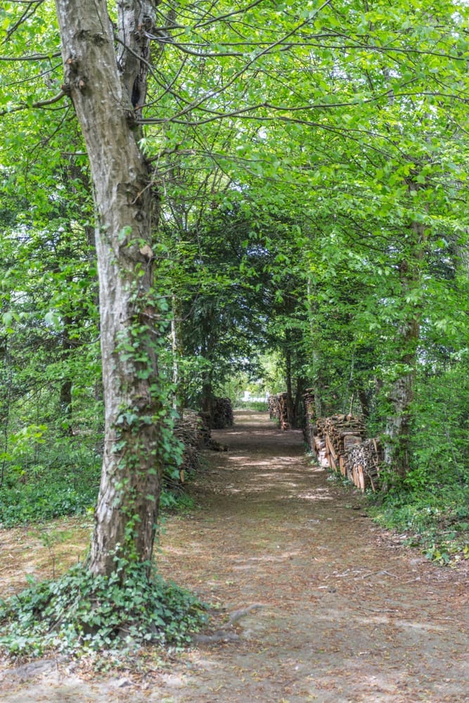 Le Lierre Cottage France