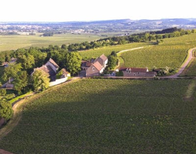 Les Vignobles d’Or France