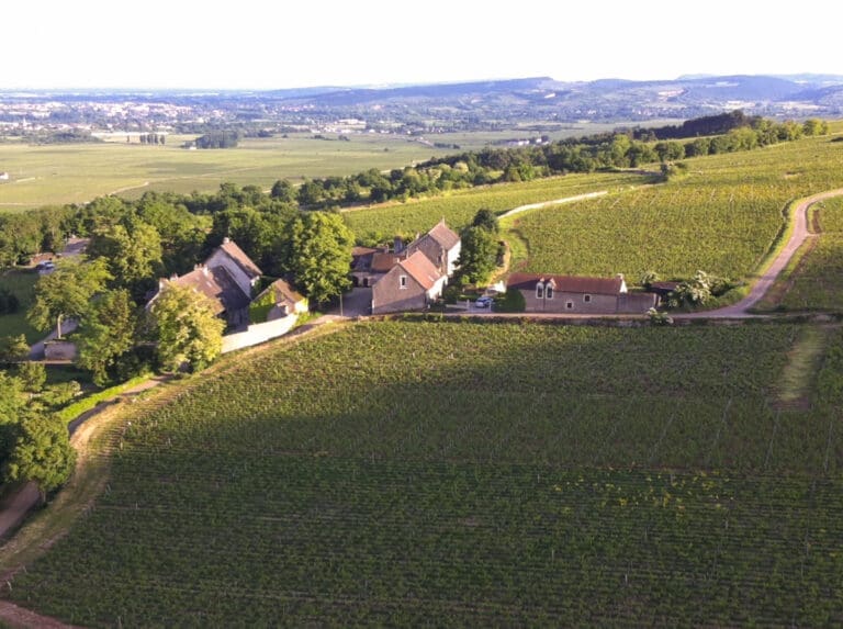Les Vignobles d’Or France