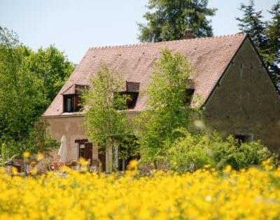 Maison Bourguignonne France