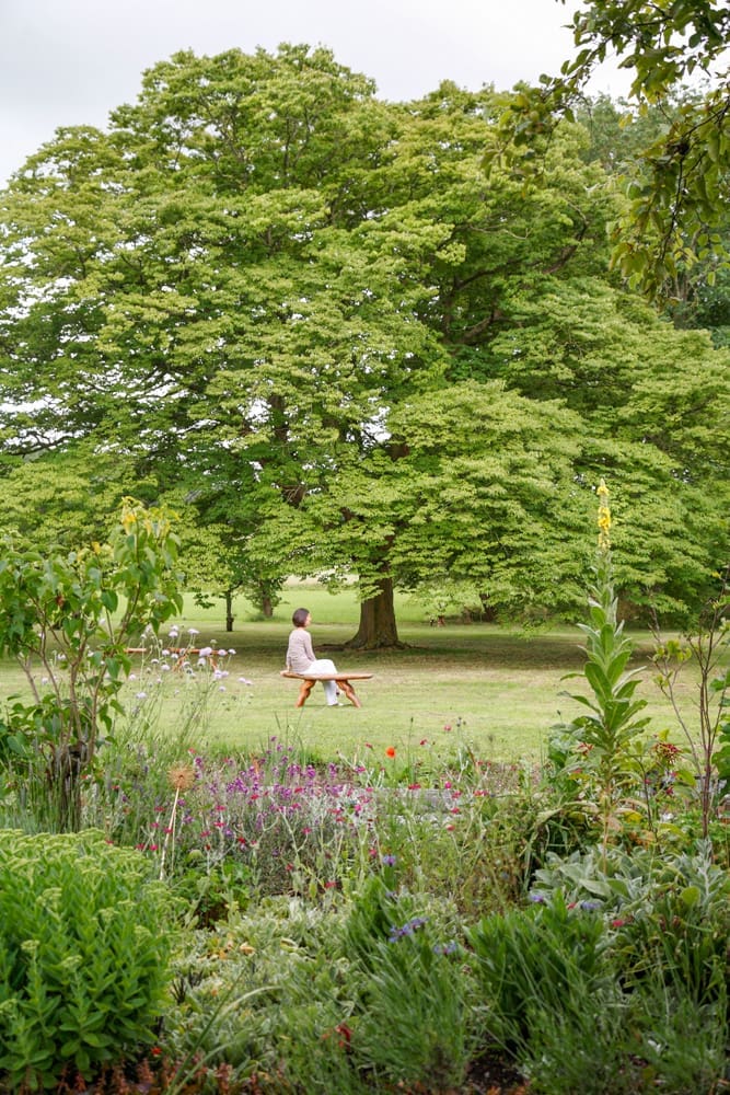 Polden Hills House & Cottage United Kingdom