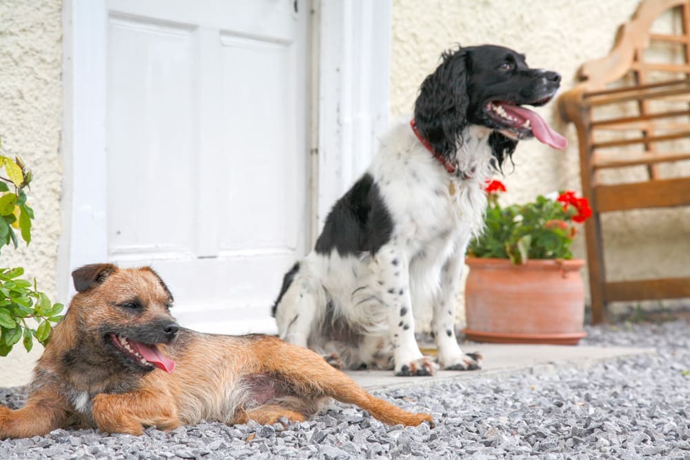Polden Hills House & Cottage United Kingdom