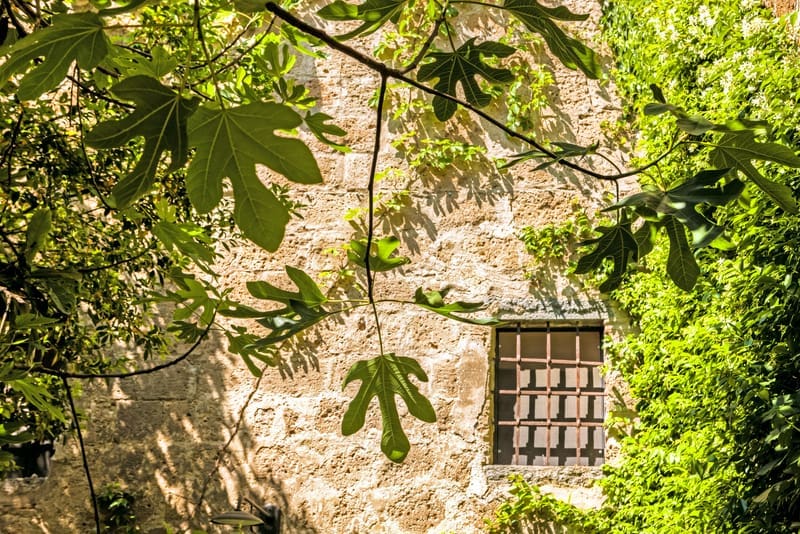 Rent Roccia Di Corte Italy