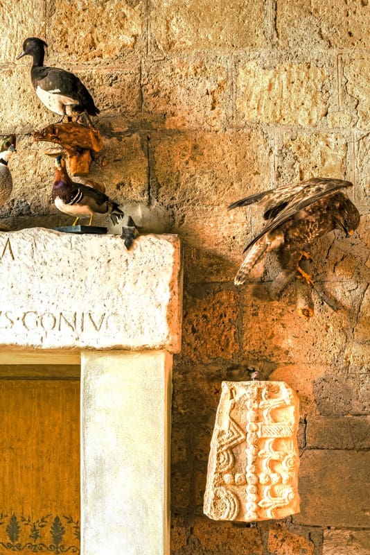 Rent Roccia Di Corte Italy