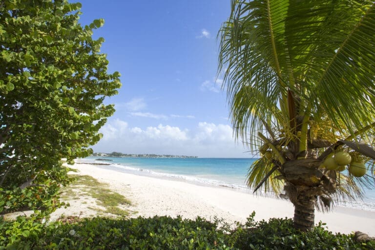 Sandy Hook 21 Barbados