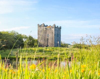 Smiths Castle Ireland