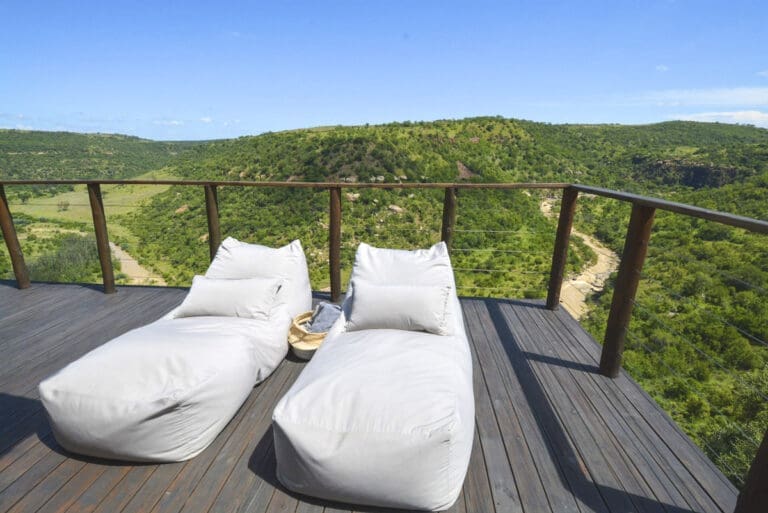 Suite Leopard South Africa