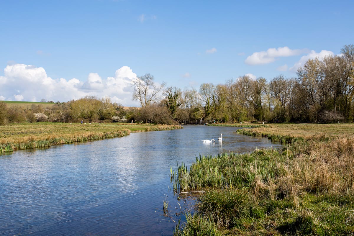Swan Cottage United Kingdom