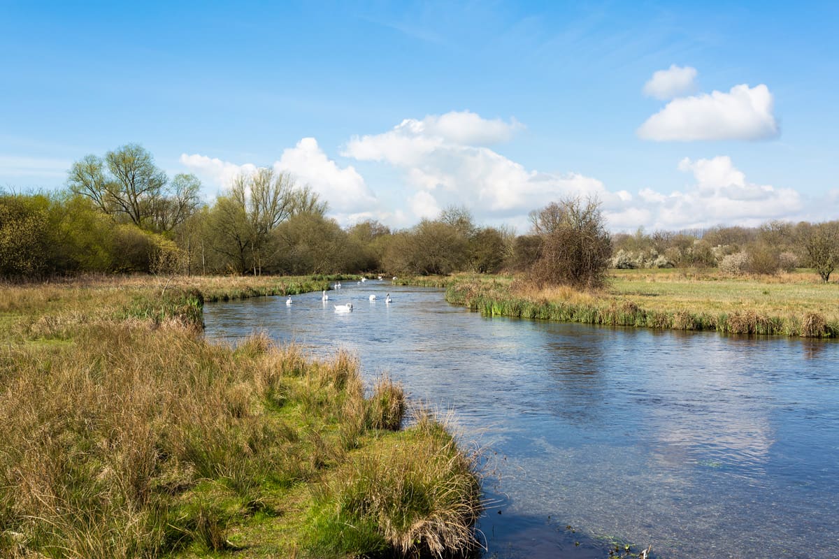 Swan Cottage United Kingdom