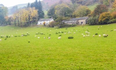 Tanat Valley Farmhouse United Kingdom