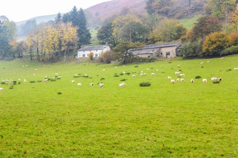 Tanat Valley Farmhouse United Kingdom
