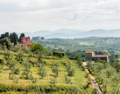 Tenuta Cona Italy