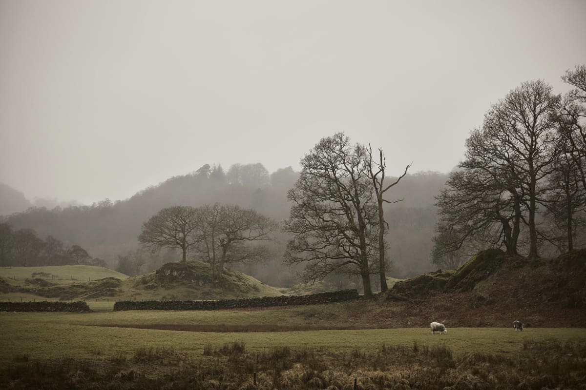 The Little Cottage United Kingdom
