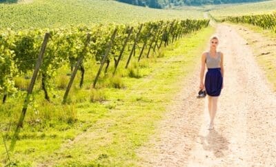 Top Ten Vineyards To Visit In Bordeaux