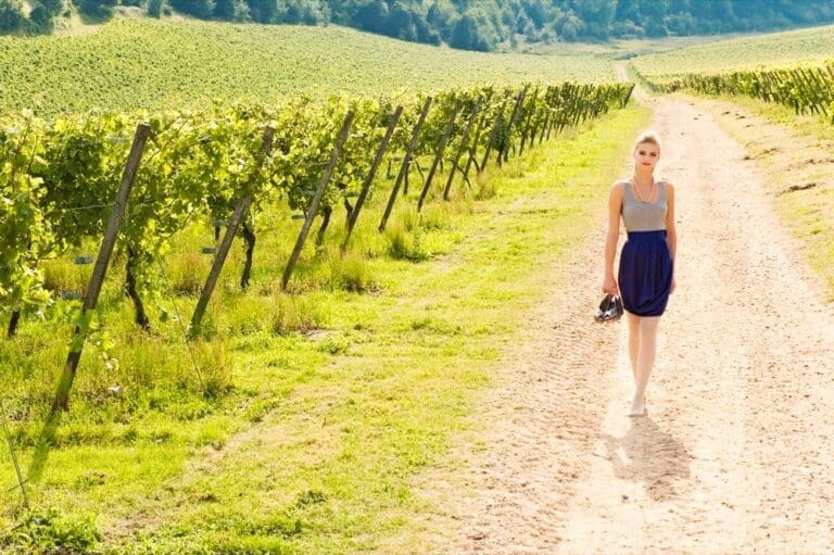 Top Ten Vineyards To Visit In Bordeaux