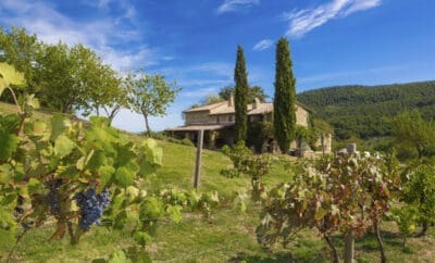 Villa Tirelli Italy