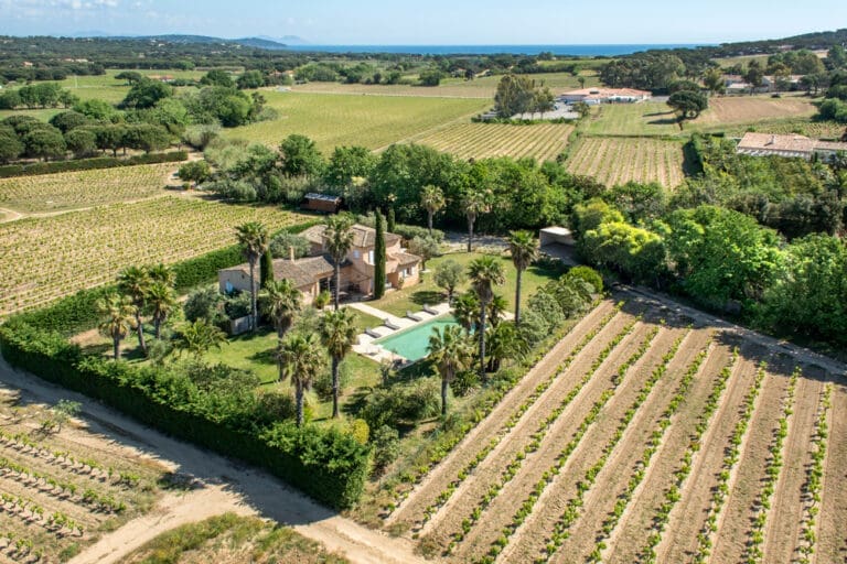 Vineyard Villa France