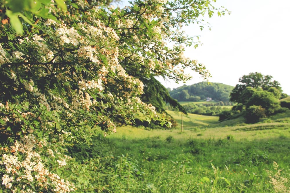 Woodwells Cottage United Kingdom