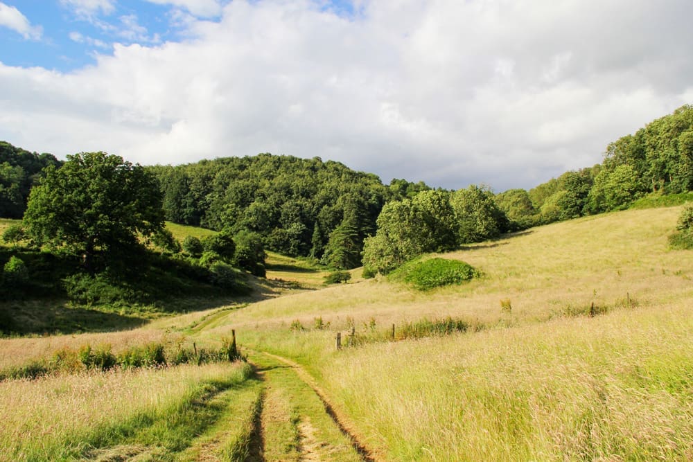 Woodwells Cottage United Kingdom