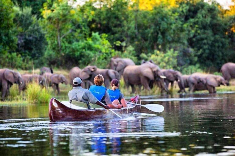 5 Reasons to Visit & Safari In Zambia