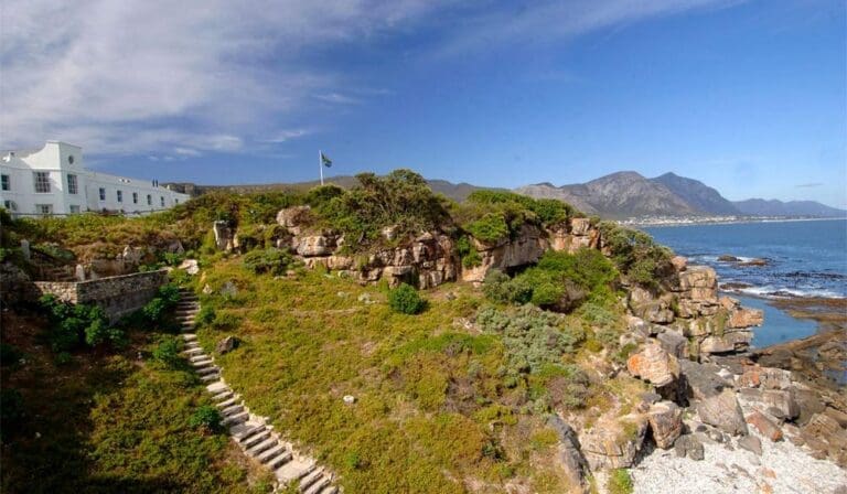 A Grand Tour of South Africa's Western Cape: Food and Wine