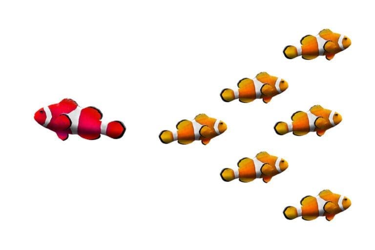 Database Business: It Really Is All About You