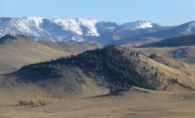 Elk Hunting in Montana