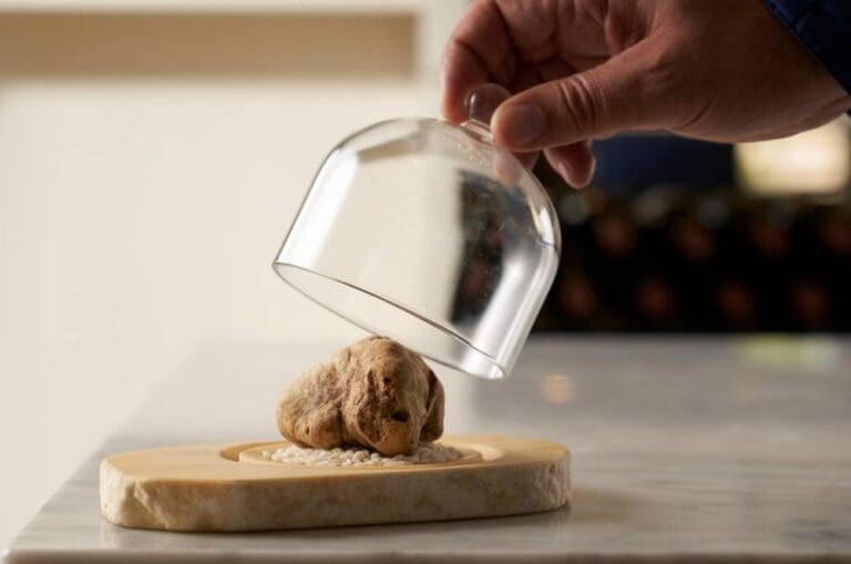 Enoteca Paco Pérez - Barcelona Restaurant Review