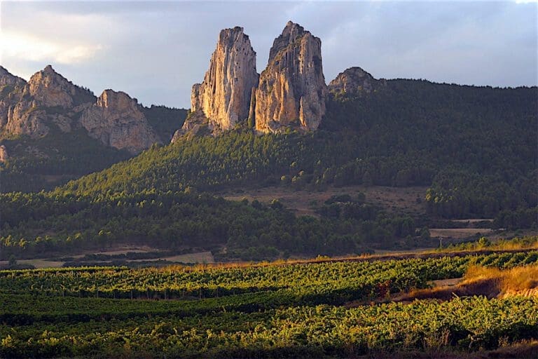 Feted Rioja Producer Muga Lights Up The Taste Buds