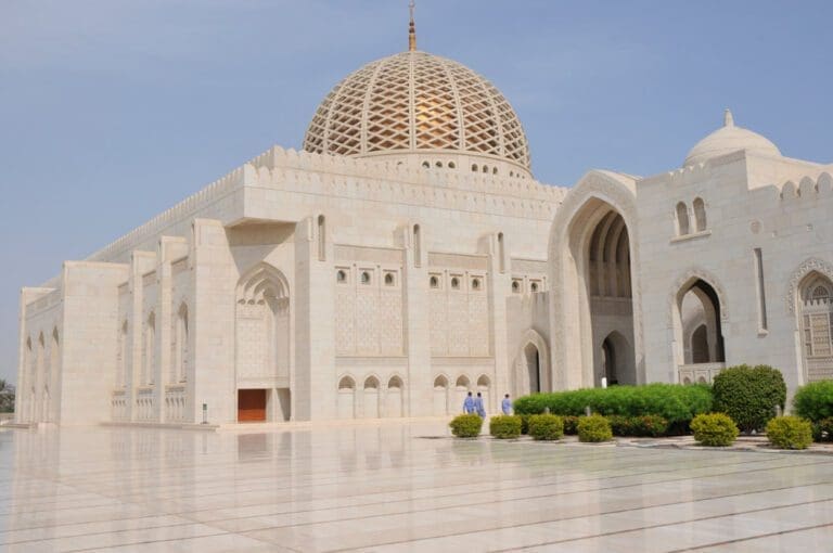 Fishing With Dolphins in Oman
