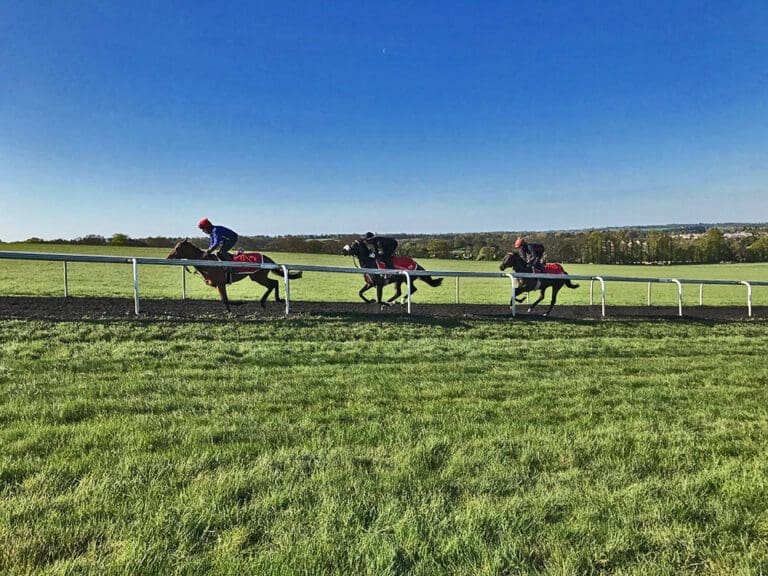 Great British Racing: Investing in Race Horses