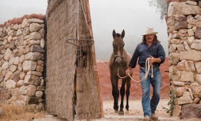 La Finca Donaira Luxury Equestrian Hotel Andalucia