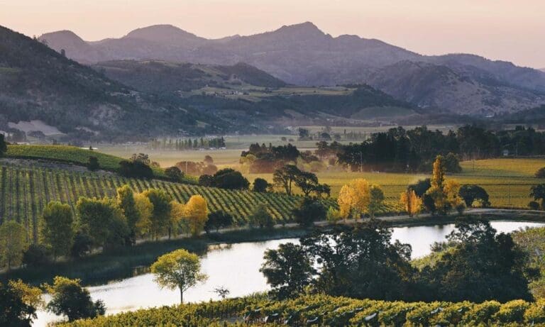 Quintessa - A Jewel In Napa Valley