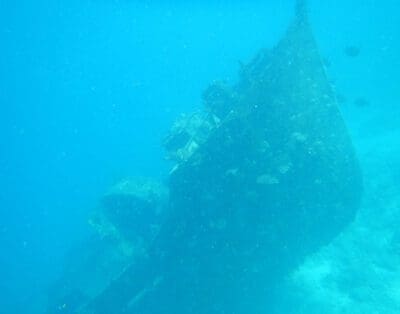 Scuba Diving In The Maldives With Prodivers