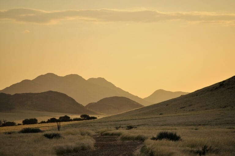 Subscribe International eXcellence