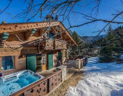 Rent Chalet Cottin France