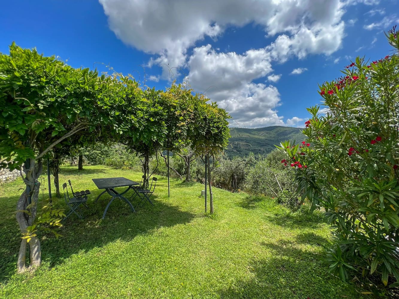 Rent Villa Campaccio Italy