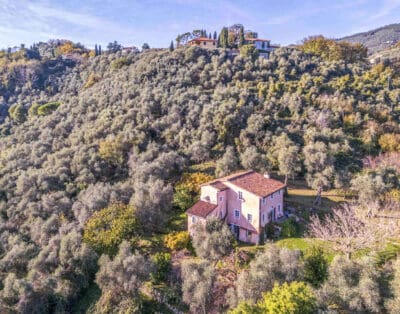 Rent Villa Monteggiori Italy