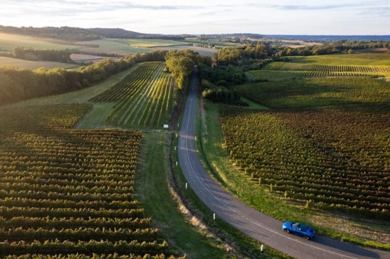 From Vineyards to Markets: Top Holiday Activities in Bordeaux